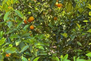 Single Family Residence, 31581 Larga Vista, Valley Center, CA 92082 - 64