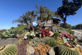 Condominium, 2556 Ocean Cove dr, Cardiff By The Sea, CA 92007 - 25