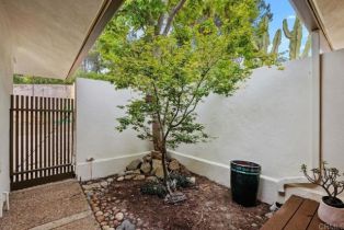 Single Family Residence, 1859 Zapo st, Del Mar, CA 92014 - 54