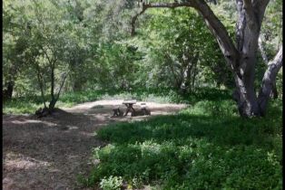 Single Family Residence, 1010 Willowcreek ln, Fallbrook, CA 92028 - 45