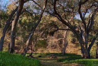 Single Family Residence, 1010 Willowcreek ln, Fallbrook, CA 92028 - 58