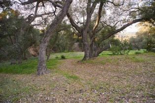 Single Family Residence, 1010 Willowcreek ln, Fallbrook, CA 92028 - 59