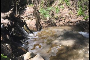 Single Family Residence, 1010 Willowcreek ln, Fallbrook, CA 92028 - 62