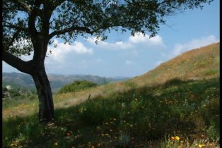 Single Family Residence, 1010 Willowcreek ln, Fallbrook, CA 92028 - 64