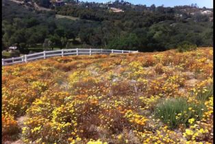 Single Family Residence, 1010 Willowcreek ln, Fallbrook, CA 92028 - 65