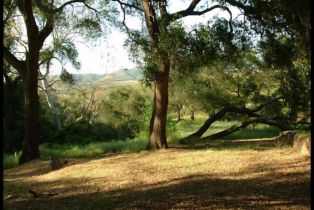 Single Family Residence, 1010 Willowcreek ln, Fallbrook, CA 92028 - 67