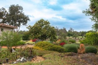 Single Family Residence, 6418 Paseo Delicias, Rancho Santa Fe, CA 92067 - 29