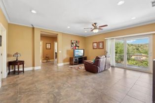 Single Family Residence, 4018 Millagra dr, Fallbrook, CA 92028 - 23