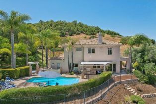 Single Family Residence, 4018 Millagra dr, Fallbrook, CA 92028 - 63