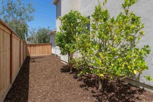 Single Family Residence, 7866 Calle Oliva, Carlsbad, CA 92009 - 39