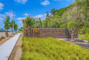 Single Family Residence, 35140 Bergamot, Fallbrook, CA 92028 - 49