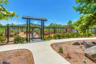 Single Family Residence, 35140 Bergamot, Fallbrook, CA 92028 - 67