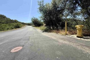 , 0 Mt. Olympus Valley rd, Fallbrook, CA 92028 - 21