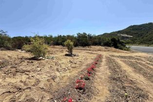 , 0 Mt. Olympus Valley rd, Fallbrook, CA 92028 - 26