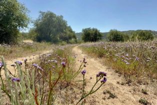 , 0 Mt. Olympus Valley rd, Fallbrook, CA 92028 - 43