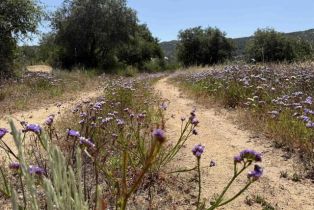 , 0 Mt. Olympus Valley rd, Fallbrook, CA 92028 - 44