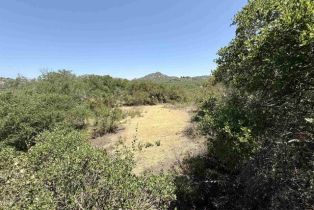 , 0 Mt. Olympus Valley rd, Fallbrook, CA 92028 - 51