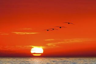 Condominium, 238 Date ave, Carlsbad, CA 92008 - 46