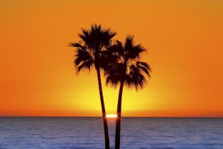 Condominium, 238 Date Ave, Carlsbad, CA  Carlsbad, CA 92008