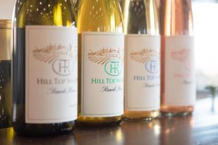 Single Family Residence, 30801 Valley Center Road, Valley Center, CA 92082 - 21