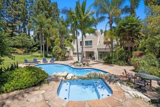Single Family Residence, 1203 Caminito Graciela, Encinitas, CA 92024 - 38