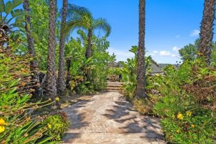 Single Family Residence, 1203 Caminito Graciela, Encinitas, CA 92024 - 40