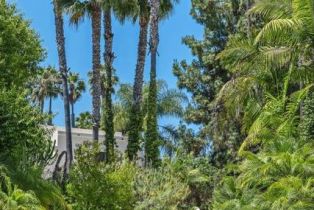 Single Family Residence, 1203 Caminito Graciela, Encinitas, CA 92024 - 44