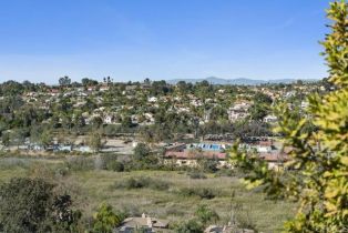 Single Family Residence, 1762 Avenida La Posta, Encinitas, CA 92024 - 51