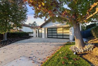 Single Family Residence, 1762 Avenida La Posta, Encinitas, CA 92024 - 52