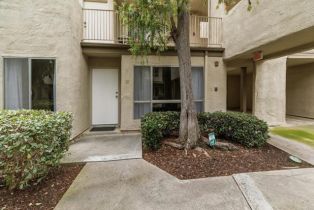 Condominium, 13754 Mango dr, Del Mar, CA 92014 - 21
