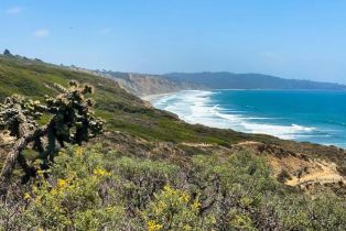 Condominium, 13754 Mango dr, Del Mar, CA 92014 - 39