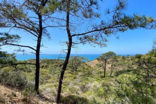 Condominium, 13754 Mango dr, Del Mar, CA 92014 - 40