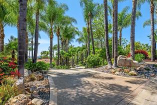 Single Family Residence, 9 Rolling View ln, Fallbrook, CA 92028 - 49