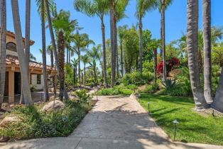 Single Family Residence, 9 Rolling View ln, Fallbrook, CA 92028 - 50