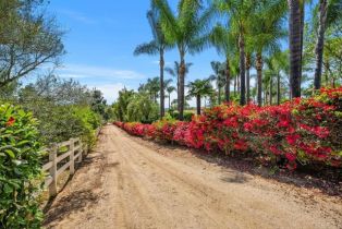 Single Family Residence, 9 Rolling View ln, Fallbrook, CA 92028 - 63