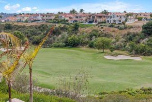 Single Family Residence, 7239 Surfbird cir, Carlsbad, CA 92011 - 38