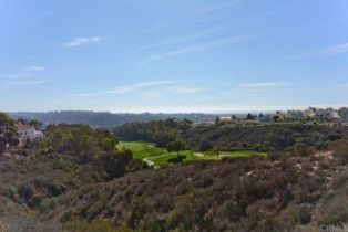 Single Family Residence, 7239 Surfbird cir, Carlsbad, CA 92011 - 41