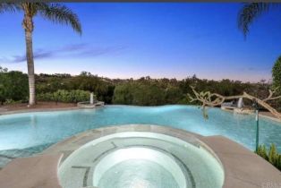 Single Family Residence, 970 DOVE RUN rd, Encinitas, CA 92024 - 29