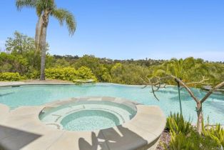 Single Family Residence, 970 DOVE RUN rd, Encinitas, CA 92024 - 35