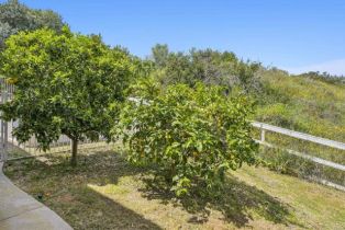 Single Family Residence, 970 DOVE RUN rd, Encinitas, CA 92024 - 38