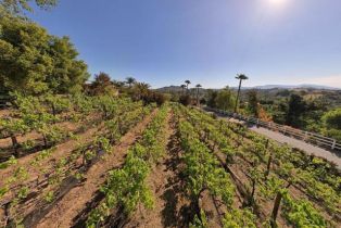 Single Family Residence, 2278 Casitas Del Sol, Fallbrook, CA 92028 - 42