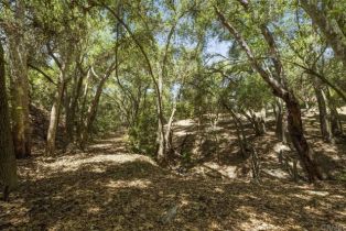 Single Family Residence, 30556 Rock Stone rd, Valley Center, CA 92082 - 38