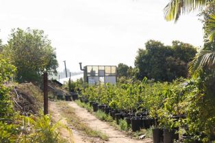 , 3129 Reche rd, Fallbrook, CA 92028 - 16