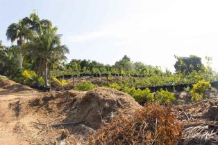 , 3129 Reche rd, Fallbrook, CA 92028 - 19