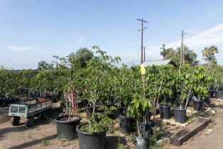 , 3129 Reche rd, Fallbrook, CA 92028 - 3