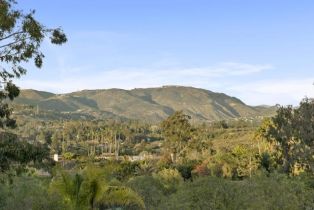 Single Family Residence, 17037 El Mirador, Rancho Santa Fe, CA 92067 - 14
