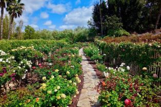 Single Family Residence, 17037 El Mirador, Rancho Santa Fe, CA 92067 - 27