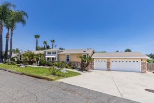 Single Family Residence, 1142 Belair DR, Fallbrook, CA  Fallbrook, CA 92028