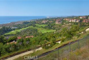 Single Family Residence, 19 Del Mar, Newport Coast, CA 92657 - 33