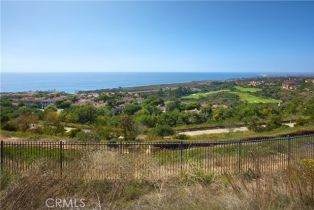 Single Family Residence, 19 Del Mar, Newport Coast, CA 92657 - 34